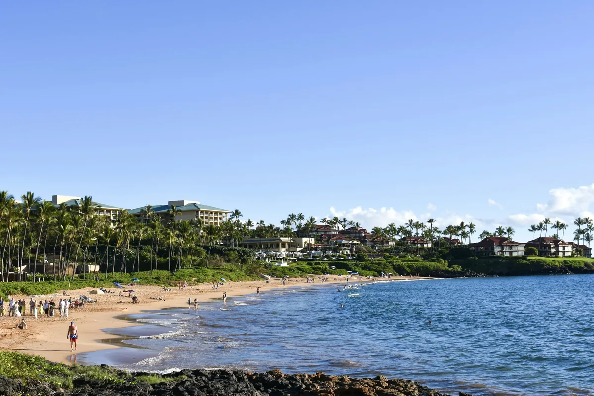 En bugtende Maui-strand med palmer og lave resortbygninger langs kysten under en blå himmel