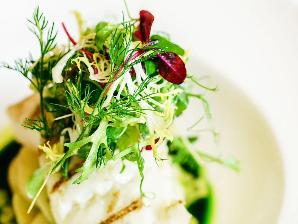 En frisk grøn salat med dressing og et grillet fiskefilet på en hvid tallerken
